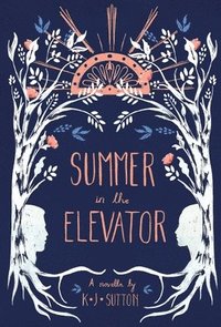 bokomslag Summer in the Elevator