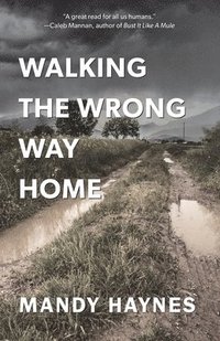 bokomslag Walking The Wrong Way Home