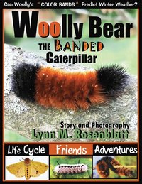 bokomslag Woolly Bear the Banded Caterpillar