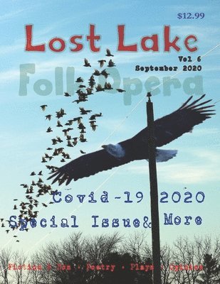 bokomslag Lost Lake Folk Opera V6: Covid-19 2020 issue