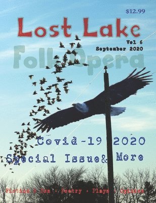 Tom Driscoll - Lost Lake Folk Opera V6: Covid-19 2020 issue, Häftad