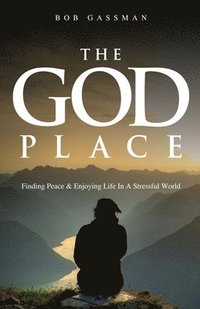 bokomslag The God Place