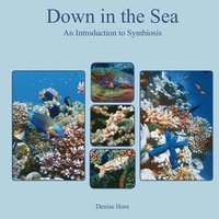 bokomslag Down in the Sea, An Introduction to Symbiosis