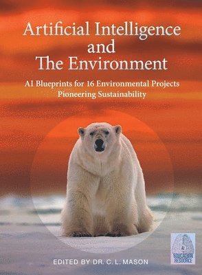 Artificial Intelligence and The Environment 1