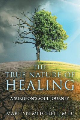 bokomslag True Nature of Healing