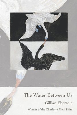 The Water Between Us 1