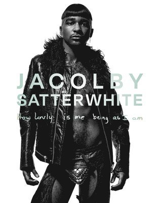 Jacolby Satterwhite: How Lovly Is Me Being As I Am 1