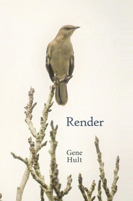 Gene Hult - Render, Inbunden