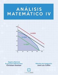 bokomslag Análisis Matemático IV: Álgebra Matricial y Métodos de Integración