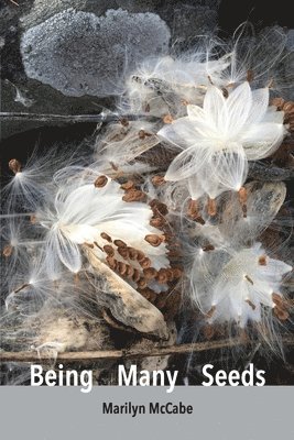 Marilyn McCabe - Being Many Seeds: poems, Häftad