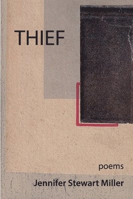 bokomslag Thief: poems