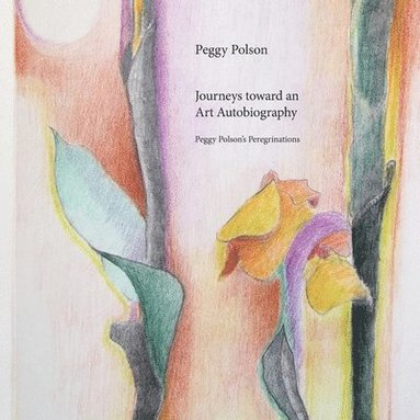 bokomslag Journeys toward an Art Autobiography