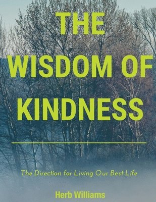 bokomslag The Wisdom of Kindness