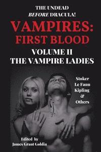bokomslag Vampires First Blood Volume II