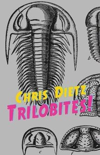 bokomslag Trilobites!