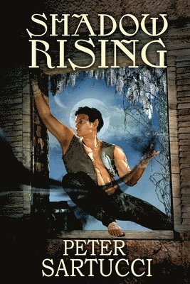 Shadow Rising: Sequel to 'Shadow and Light'