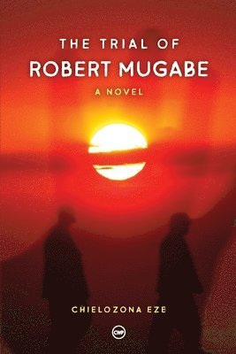 Chielozona Eze - Trial of Robert Mugabe, Häftad