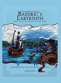 bokomslag Baedric's Labyrinth