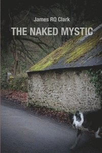 bokomslag The Naked Mystic