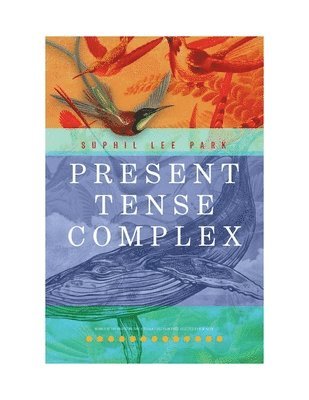 Suphil Lee Park - Present Tense Complex, Häftad
