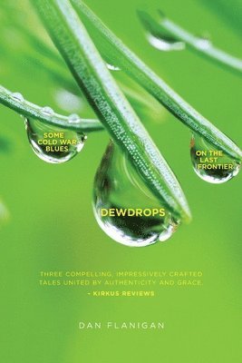 bokomslag Dewdrops