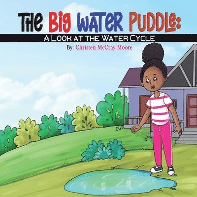 The Big Water Puddle: A Look at the Water Cycle 1
