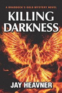 bokomslag Killing Darkness