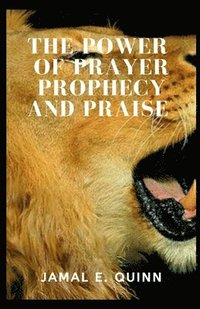 bokomslag The Power of Prayer Prophecy and Praise
