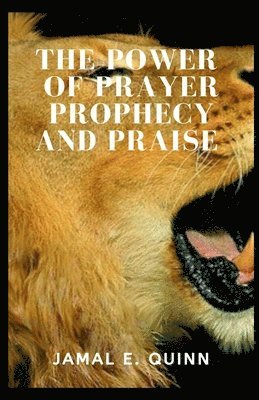 bokomslag Power of Prayer Prophecy and Praise