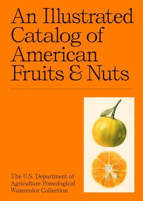 bokomslag An Illustrated Catalog of American Fruits & Nuts
