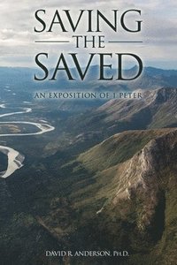 bokomslag Saving the Saved