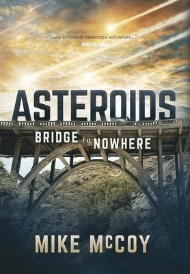 bokomslag Asteroids