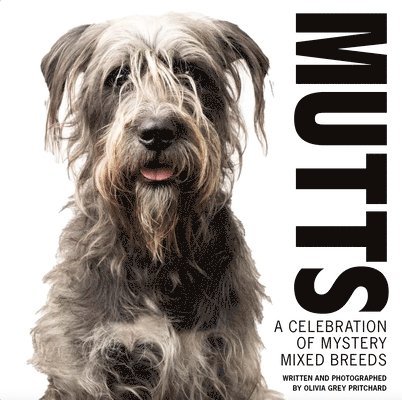 MUTTS 1