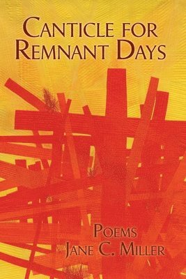 bokomslag Canticle for Remnant Days