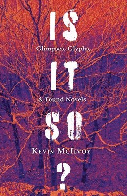 Is It So? Glimpses, Glyphs, & Found Novels 1