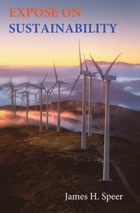 bokomslag Exposé on Sustainability