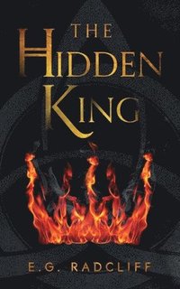 bokomslag The Hidden King