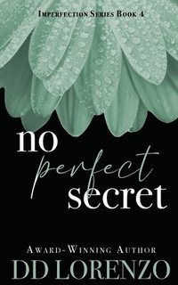 bokomslag No Perfect Secret
