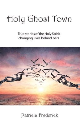 Holy Ghost Town: True stories of the Holy Spirit changing lives behind bars 1