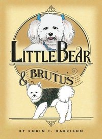 bokomslag Little Bear & Brutus