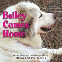 bokomslag Bailey Comes Home
