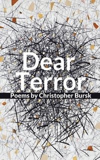 bokomslag Dear Terror