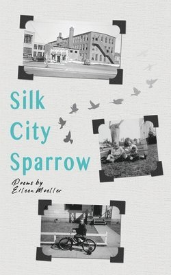 bokomslag Silk City Sparrow