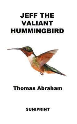 bokomslag Jeff The Valiant Hummingbird