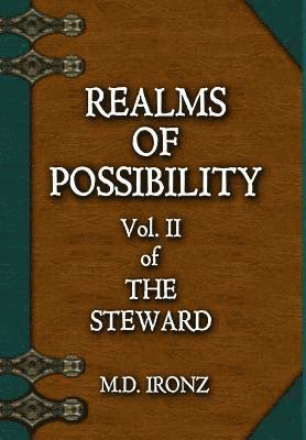 bokomslag Realms of Possibility