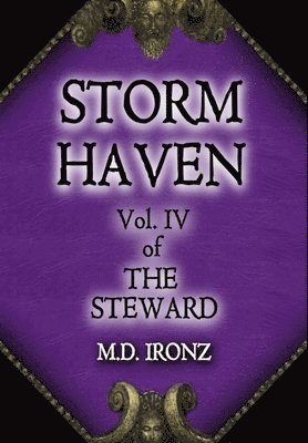 bokomslag Storm Haven