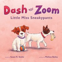 bokomslag Dash and Zoom Little Miss Sneakypants
