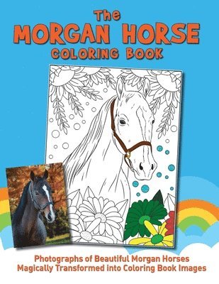 bokomslag The Morgan Horse Coloring Book