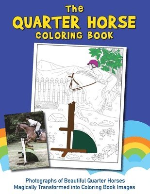 bokomslag Quarter Horse Coloring Book (Real Horses Coloring Book Series, Book 2)