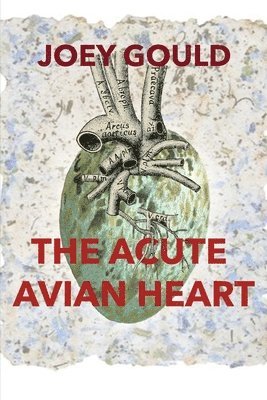 Joey Gould, Eileen Cleary - The Acute Avian Heart, Häftad